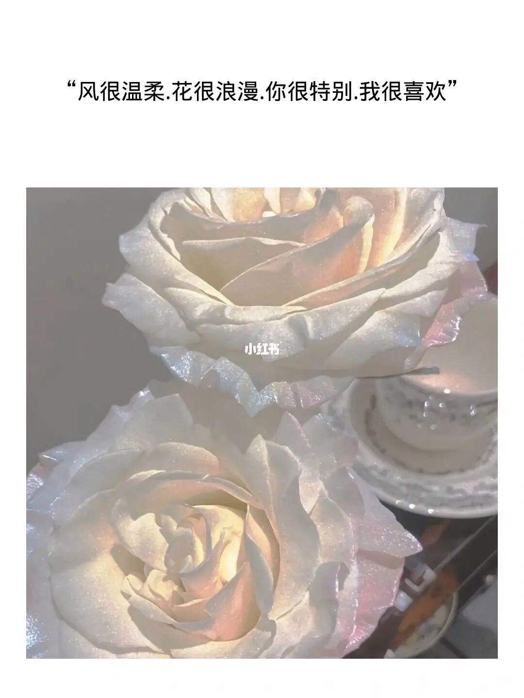 30岁生日文案高级简短(闺蜜30岁生日文案高级简短)