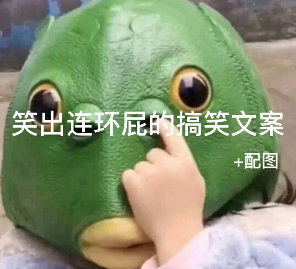 搞笑视频的文案(搞笑视频的文案个性)