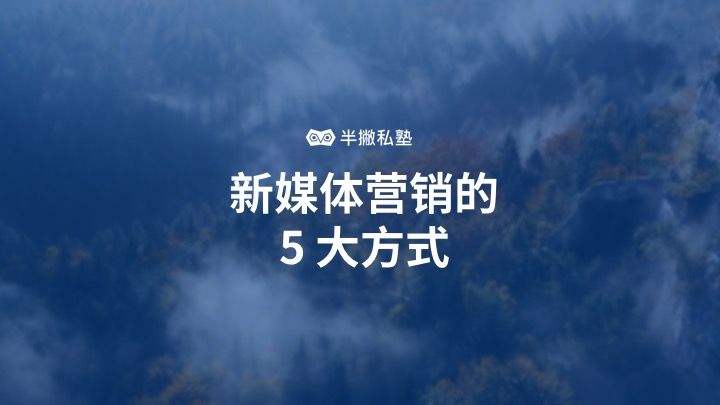 自媒体营销(自媒体营销是什么意思)