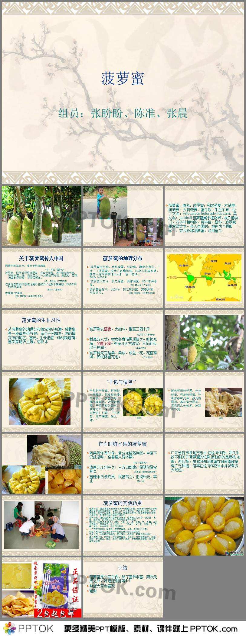 菠萝蜜的文案(菠萝蜜的文案怎么写)