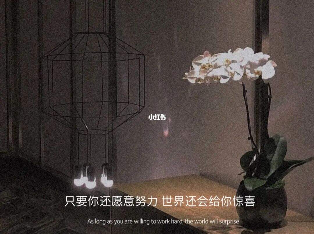 搬家文案朋友圈简短文案(搬家文案朋友圈简短文案图片)