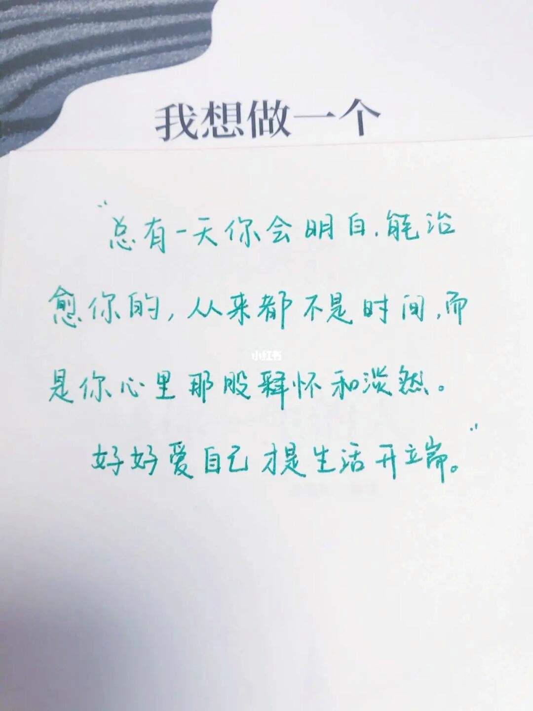 爱生活的文案(抖音热爱生活的文案)