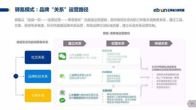 社交电商方案(社交电商方案法律风控)