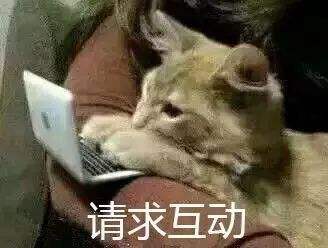 单身狗的沙雕文案(双十一单身狗吐槽的沙雕文案)
