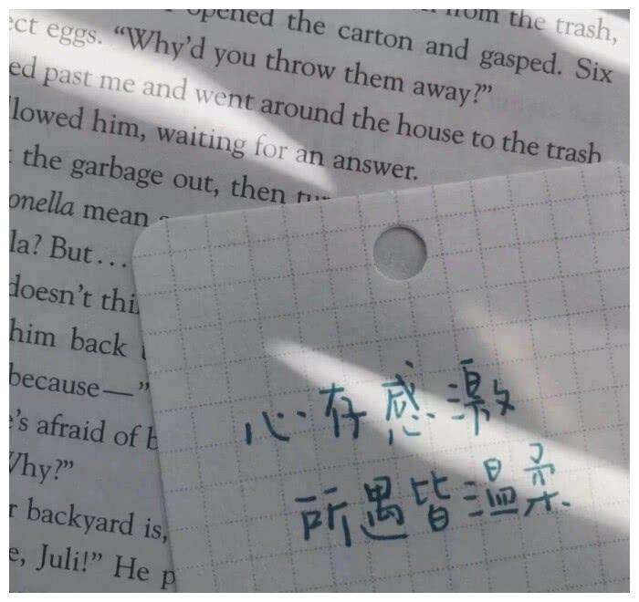 适合发朋友圈视频的文案(发朋友视频的朋友圈的文案)
