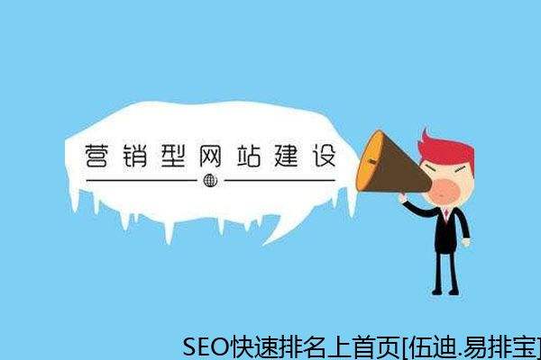 电商电商网站建设(电商商城系统网站建设)