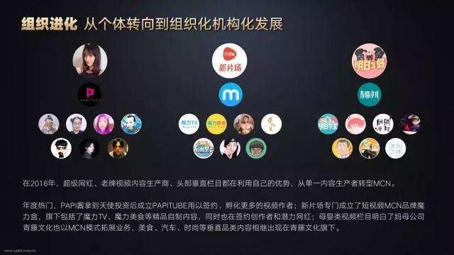 mcn自媒体公司(自媒体mcn机构怎么成立)