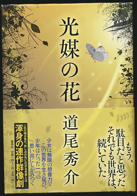 光媒之花(光媒之花阅读)
