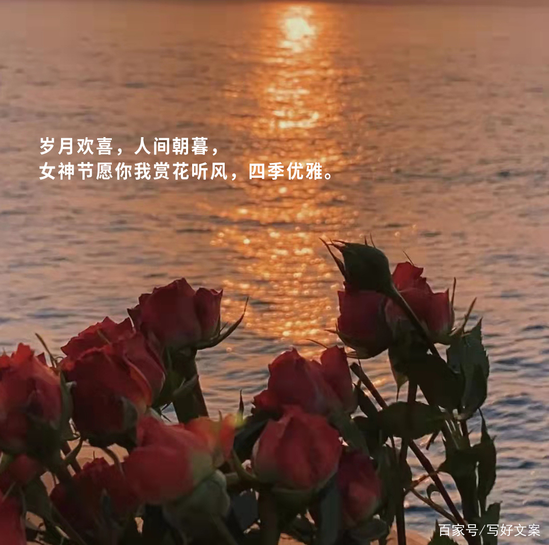 风的朋友圈文案(拉风的朋友圈文案)