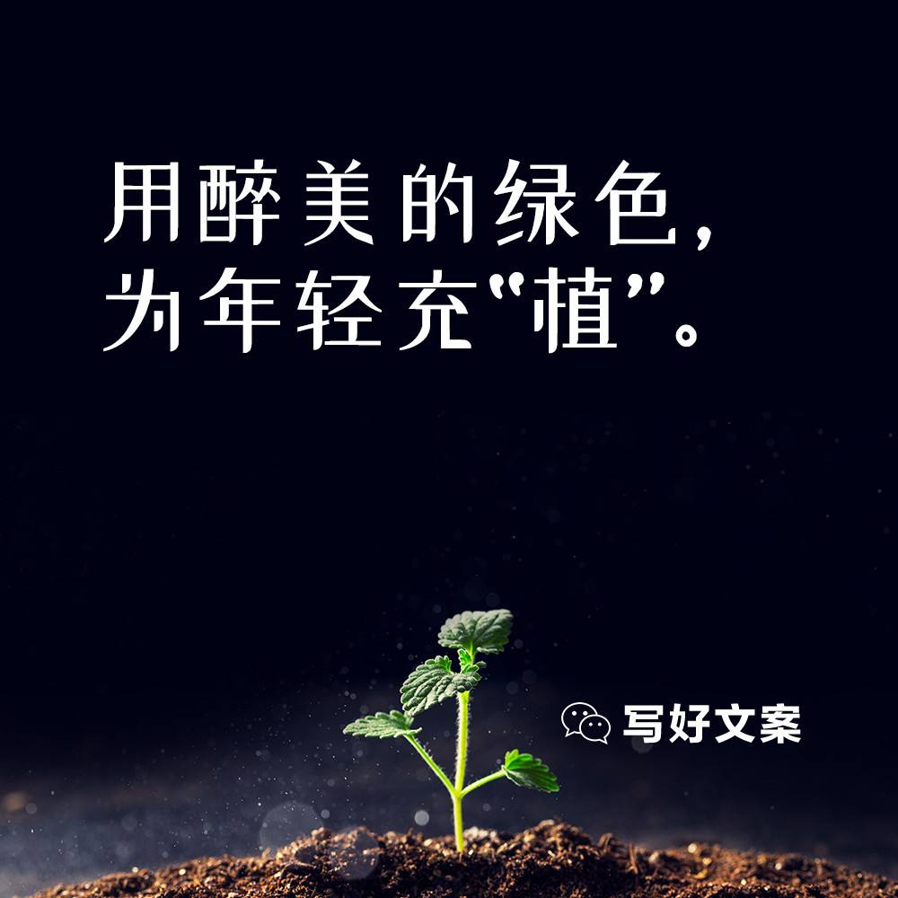 慈善广告文案(慈善广告文案范文)
