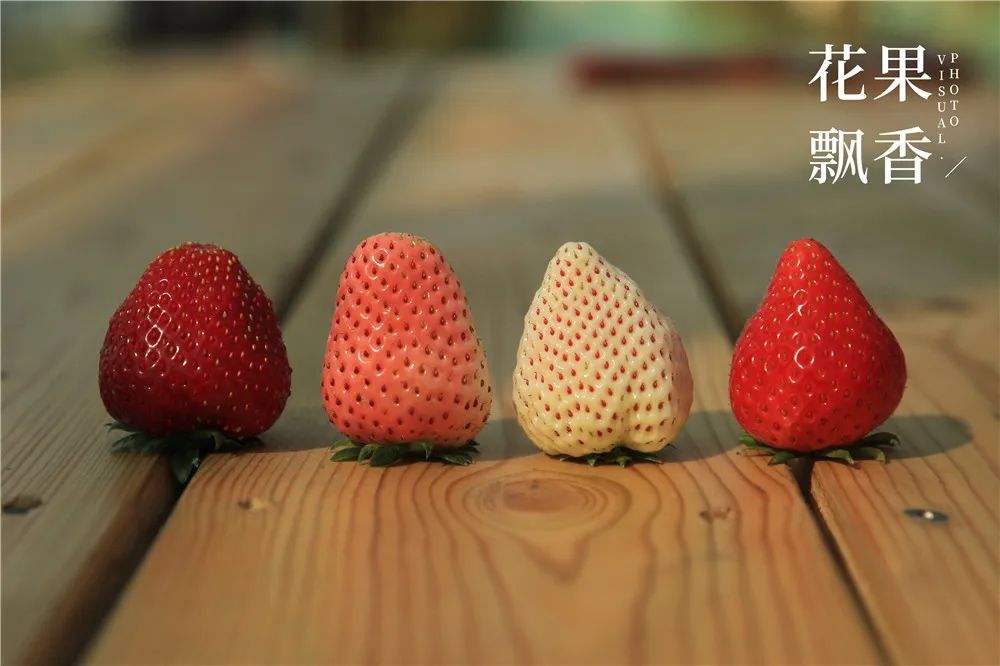 草莓的宣传文案(草莓的宣传文案怎么写)