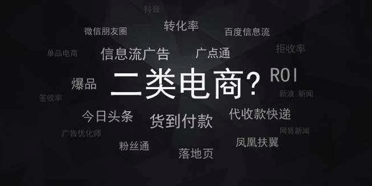 电商是什么啊(请问电商是什么)