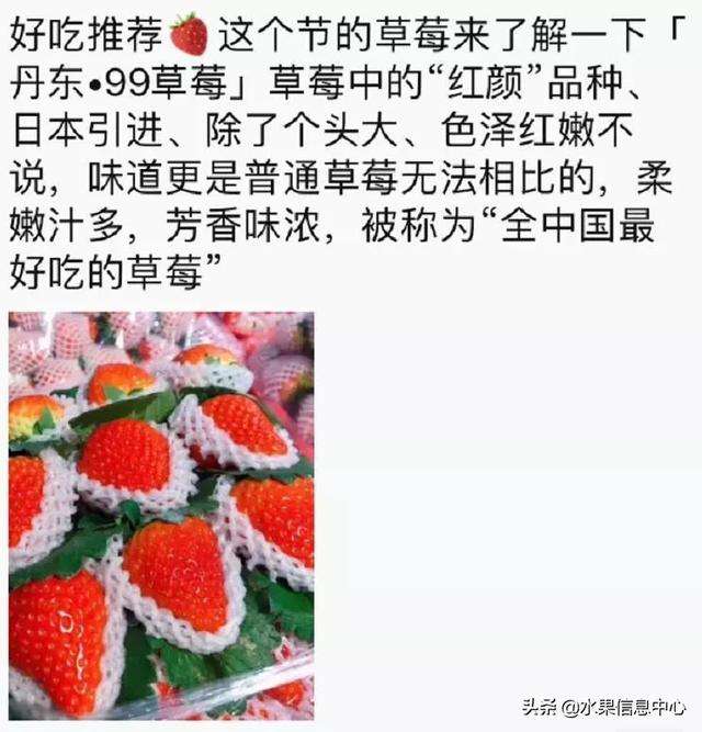 草莓文案朋友圈怎么发(草莓文案朋友圈怎么发好看)