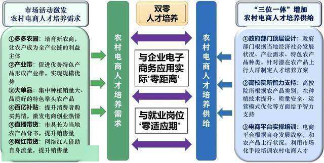 引进电商人才(引进电商人才政策调研)