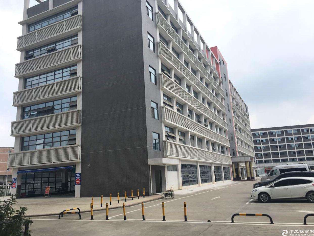 龙岗电商(龙岗电商集中地)