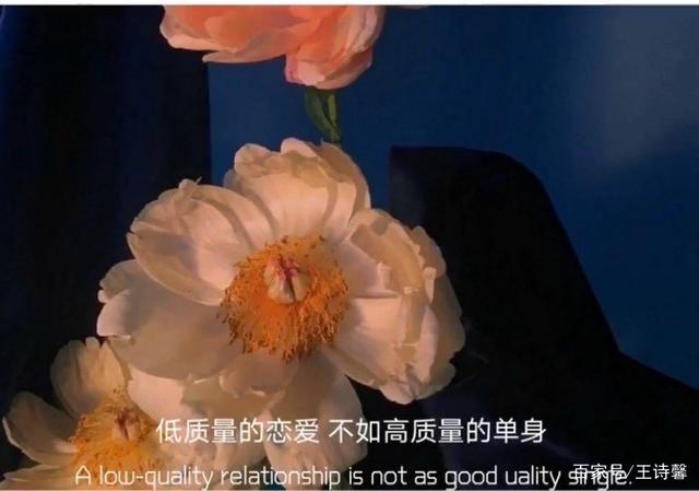 感慨人生的文案(关于感叹人生的文案)