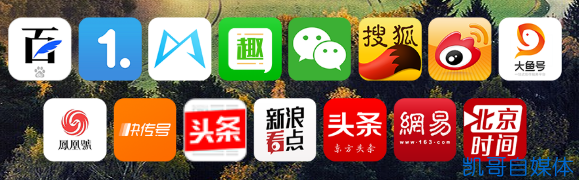 新手自媒体人选择哪个平台好(刚开始做自媒体选择哪家平台好)