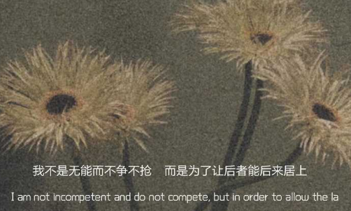 分手文案啊(分手分手文案)