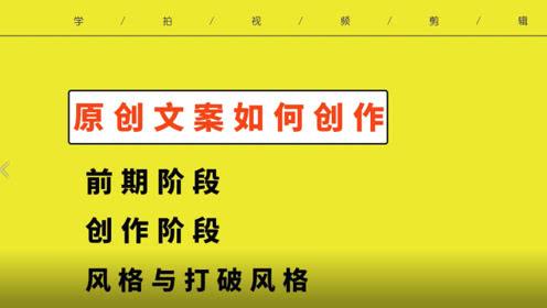短视频文案书籍(短视频构思文案的书)