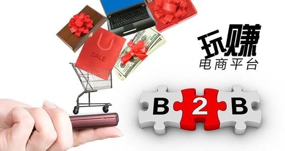 常见的电商平台有哪些(常见的电商平台有哪些类型)