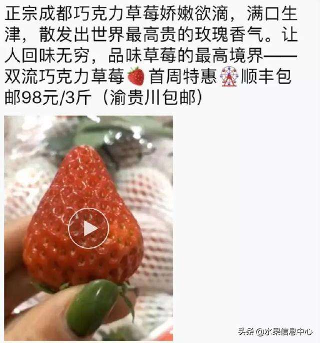 采摘草莓的文案(采摘草莓的文案短句)