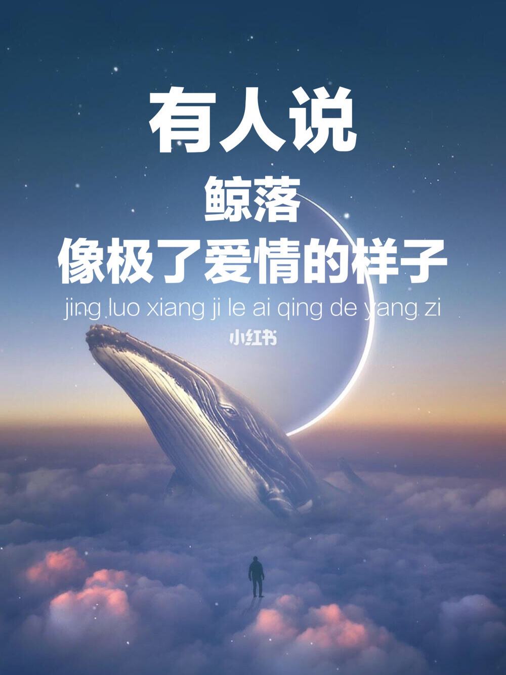关于鲸落的文案(关于鲸落的文案英文)