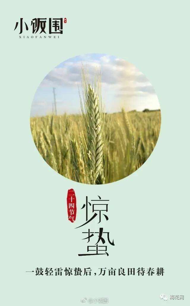 春耕的文案(关于春耕的文案)