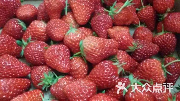 采摘草莓文案(采摘草莓文案句子)