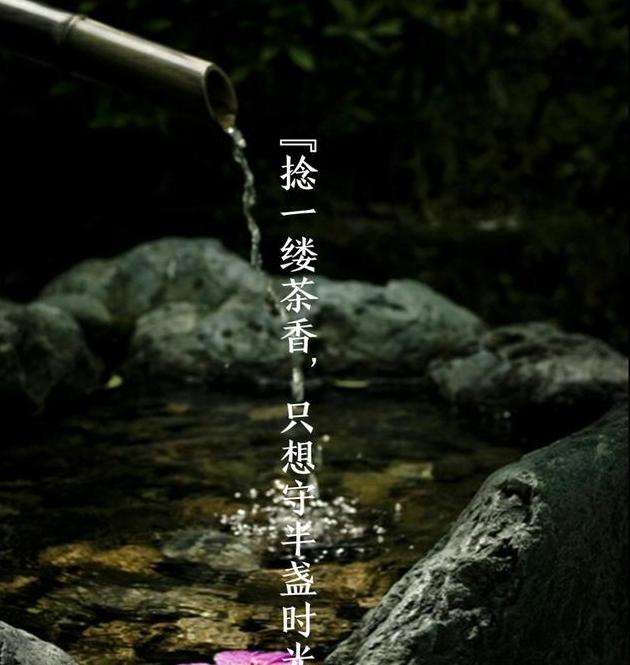 茶叶的推广文案(茶叶的推广文案简短)