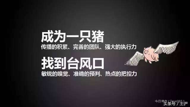 比较牛逼的文案(比较有意思的文案)