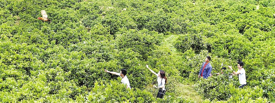 电商卖鸡(电商卖鸡蛋需要食品流通许可证吗)