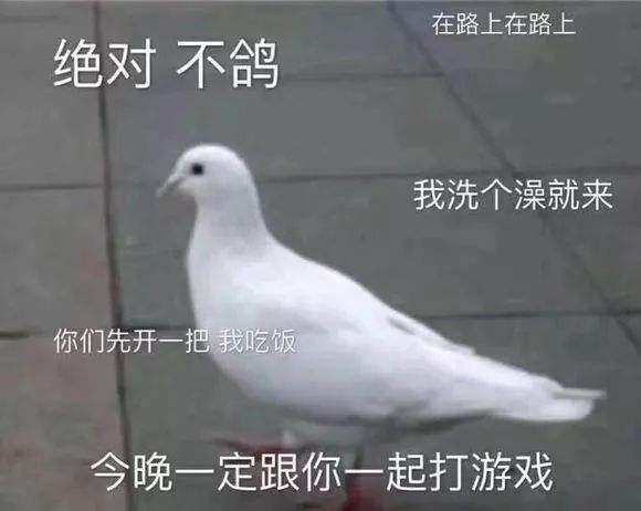 放鸽子文案(关于信鸽的文案)