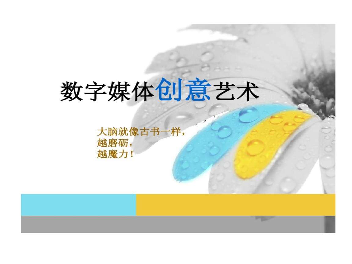数码媒体网站(数码媒体网站排行)