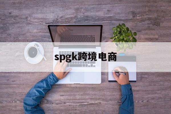 spgk跨境电商(spgk尚朋高科跨境电商平台)